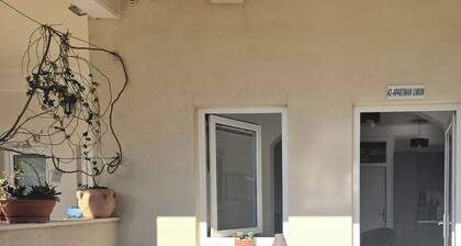 Apartment Damir