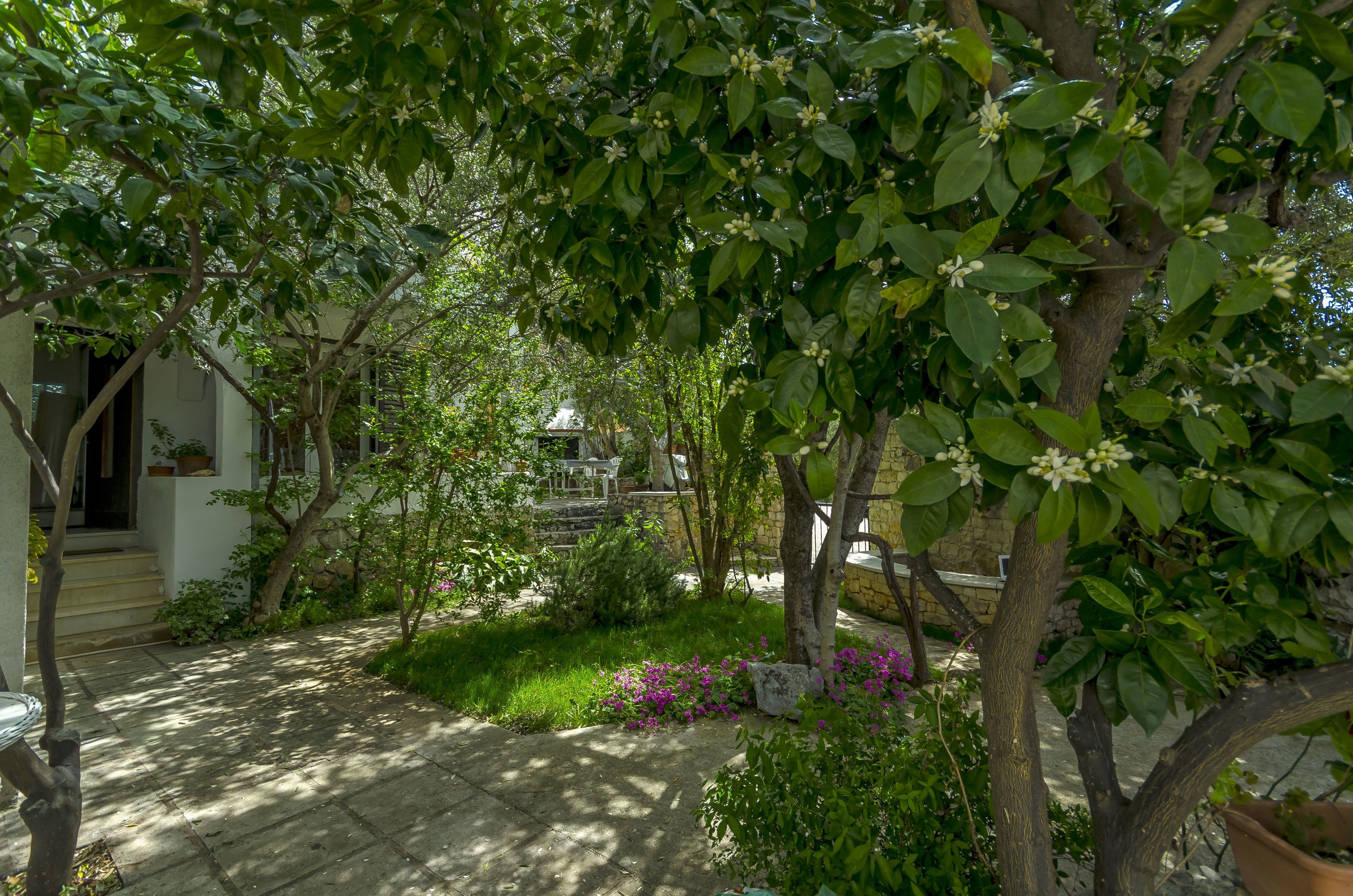 A garden pathway leading to a building with steps and a door.