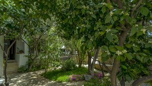 Un chemin de jardin menant à un bâtiment doté d’un escalier et d’une porte.