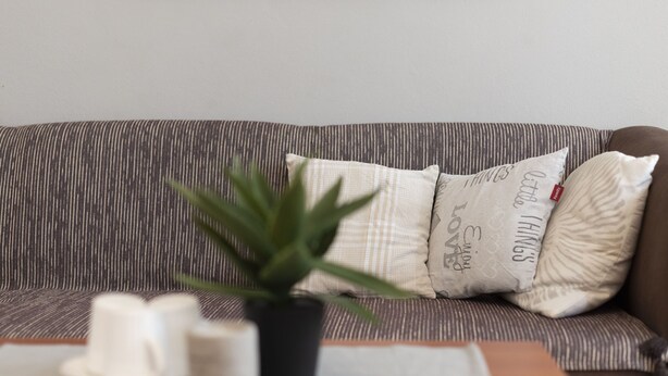 Ein gestreiftes Sofa mit einem Blumentopf, einer weißen Tasse und einer kleinen Schale auf einem Tisch.
