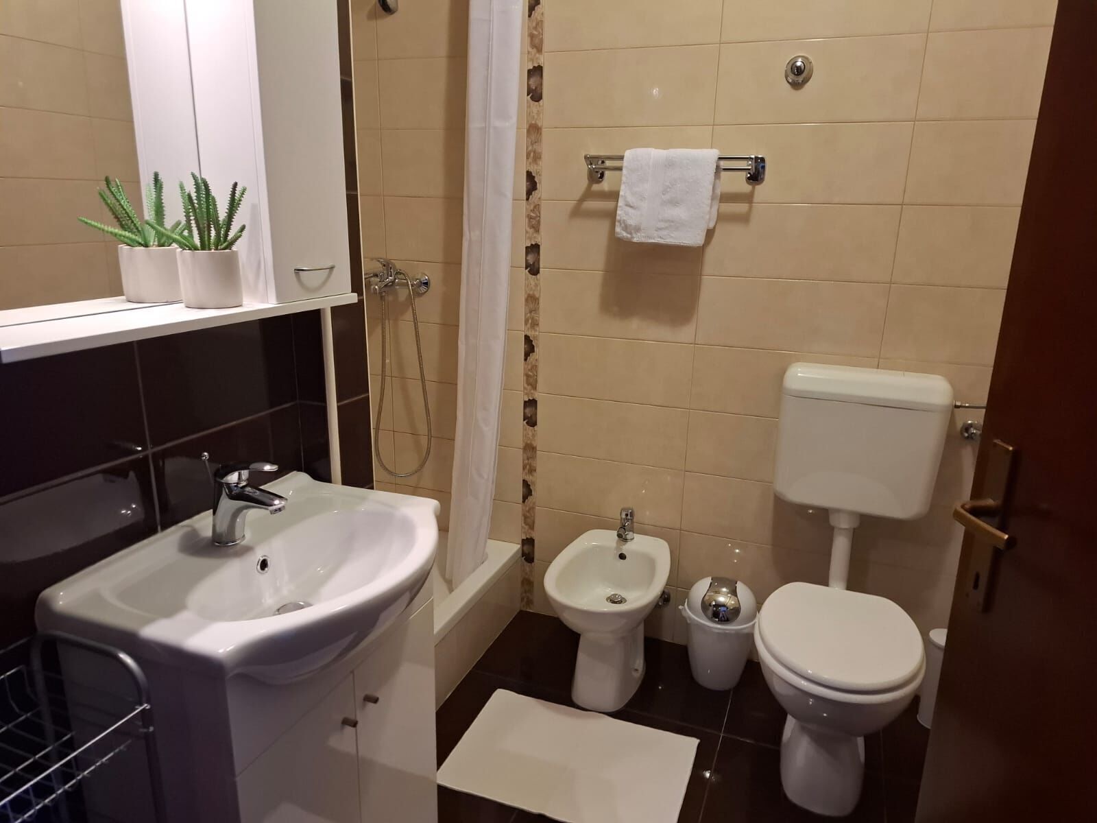 Appartement (A1) | Salle de bain | Douche, savon, papier toilette