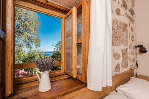 House Martelina