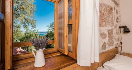 House Martelina