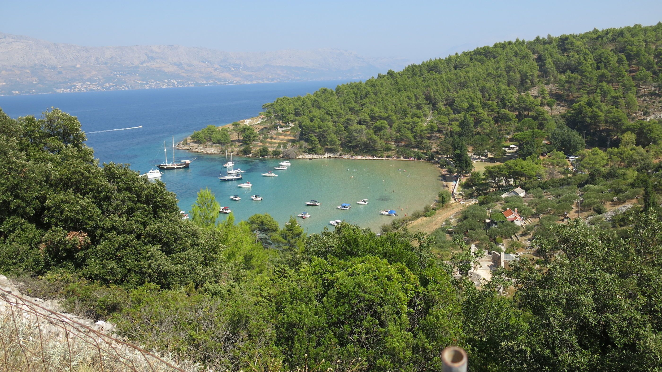 A coastal area with boats docked at a marina, surrounded by dense greenery and hills.