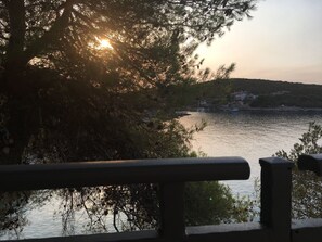 A view of a lake with boats, surrounded by trees and a distant shoreline with buildings. - House Kupina (Gdinj)