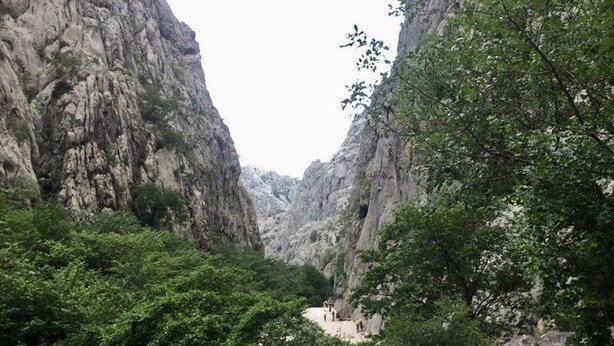A narrow canyon with rocky cliffs and dense greenery. - Apartment Vinko (Starigrad - Paklenica)
