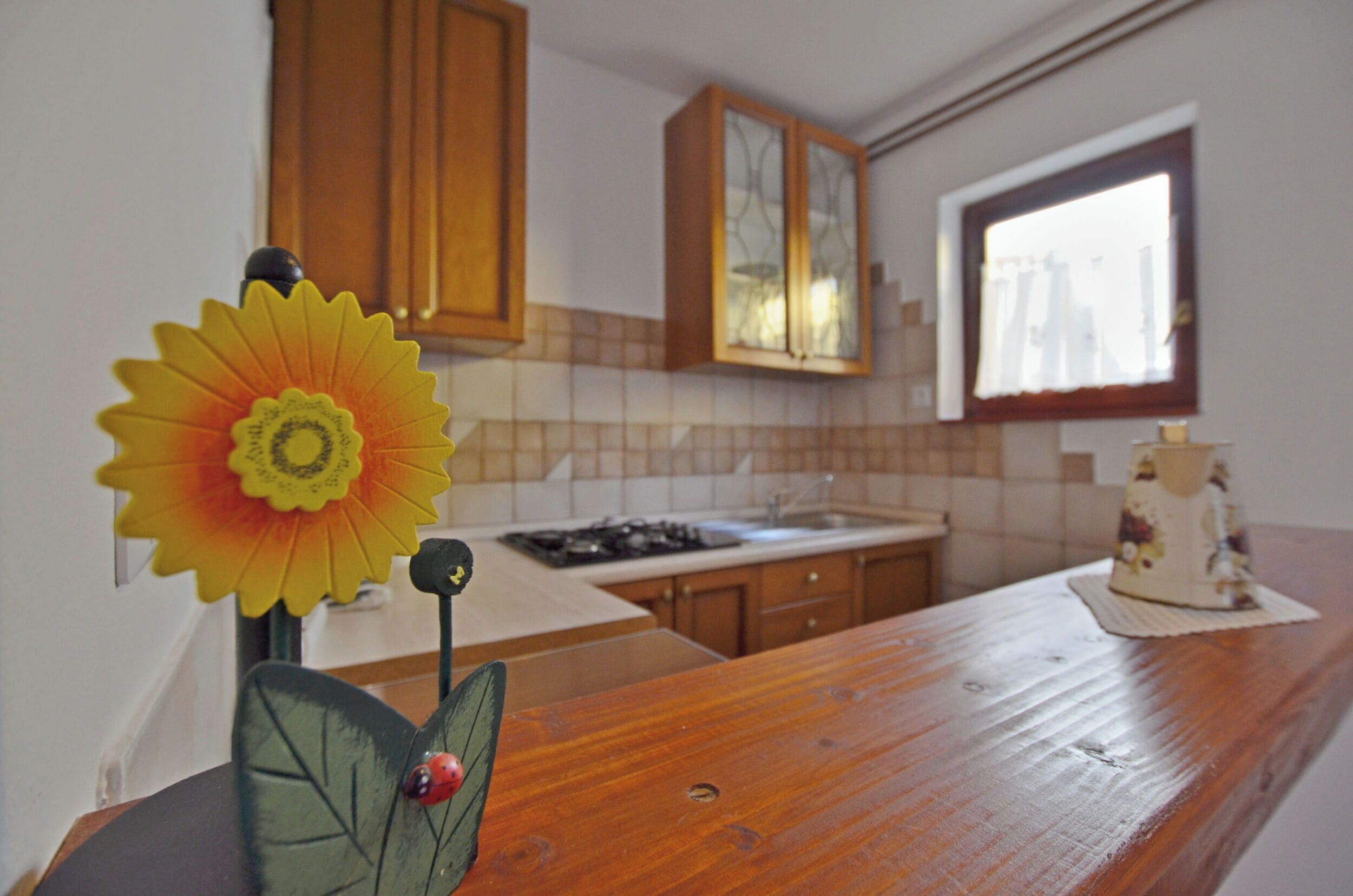 A kitchen with wooden cabinets, a stove, and a window.