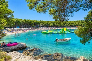 شاطئ