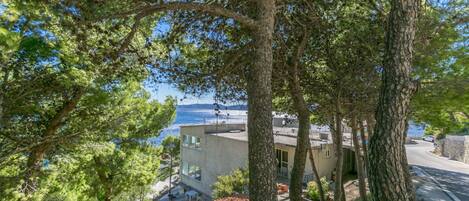 تصميم المبنى