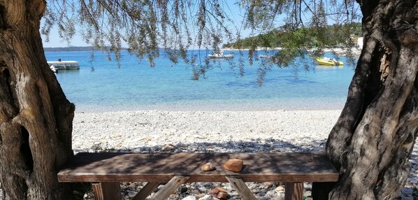 Playa en los alrededores