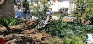 Jardin