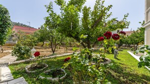 A garden with rose bushes and a statue. - Apartment Bakovic (Rogoznica)