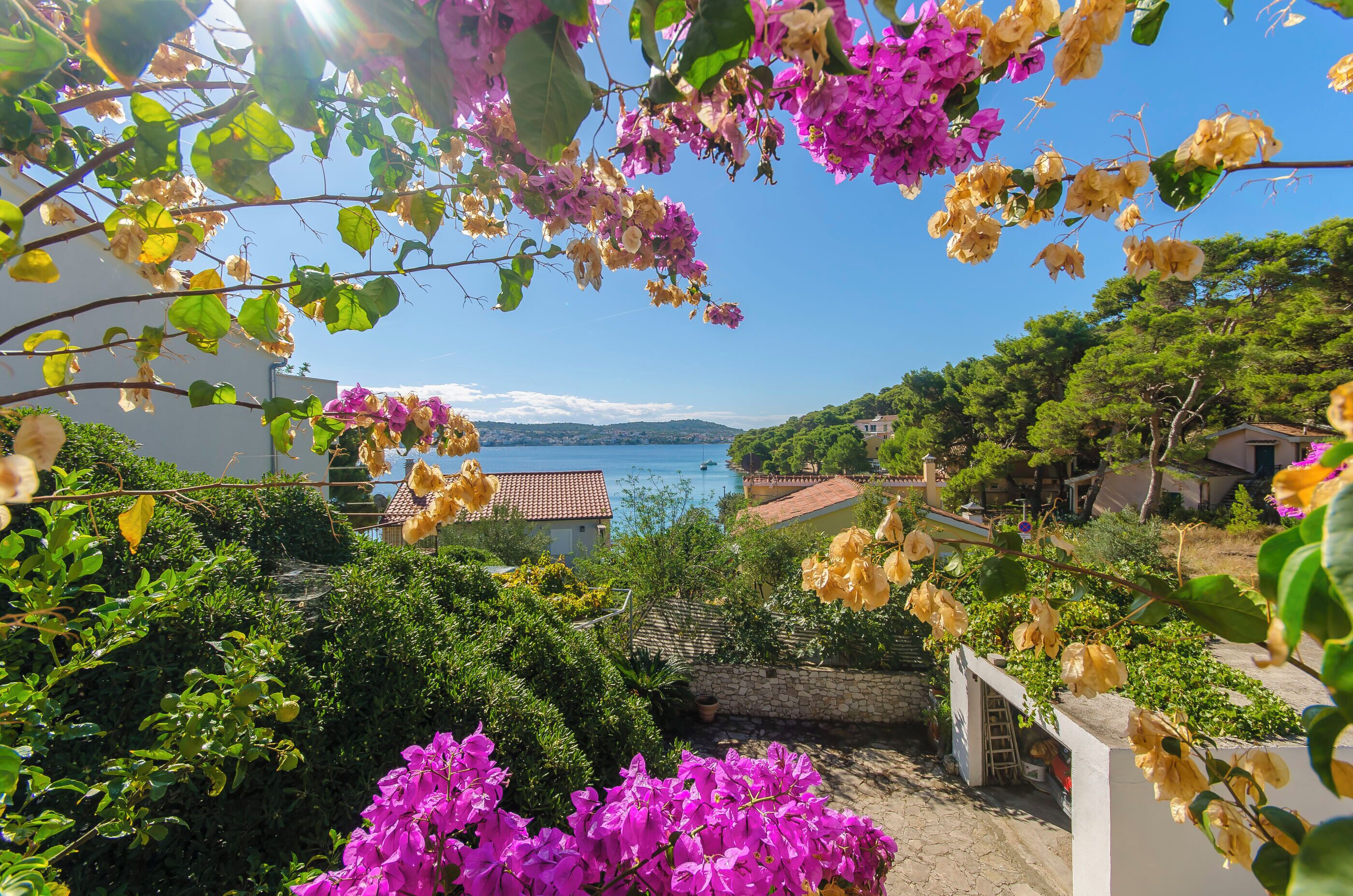Apartment (A1) | Blick auf das Wasser