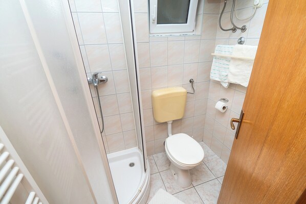Une salle de bain avec une douche, des toilettes et un porte-serviettes.