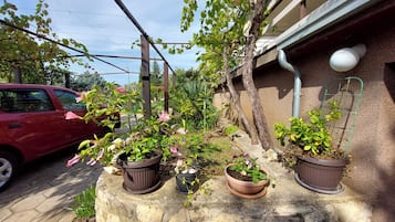 Um jardim com plantas em vasos e um carro vermelho estacionado perto.