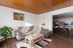 Living room - Apartment Milan (Senj)