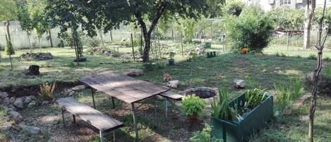 สนามรอบบริเวณ