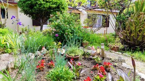 A garden with various plants and flowers, a tree, and a statue. - Apartments Tugomila (Barbat)
