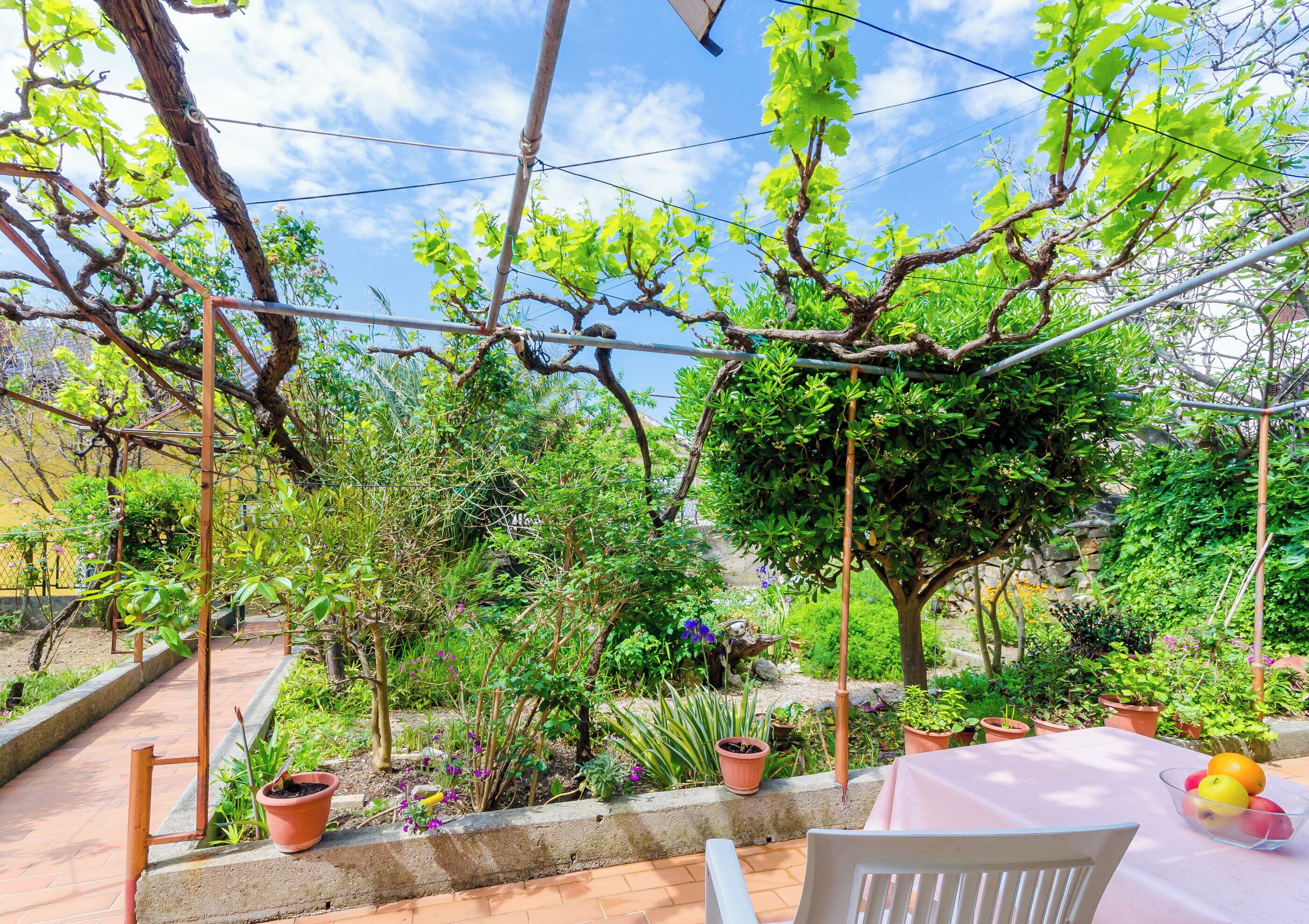 Apartment (A1) | Ansicht von oben