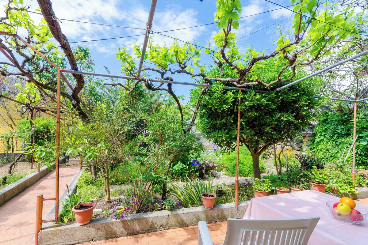 A patio with a table and chairs, surrounded by potted plants and a pergola with climbing plants.