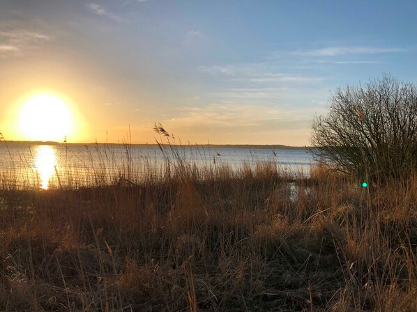 Imagen sin descripción, 1 de 32, botón