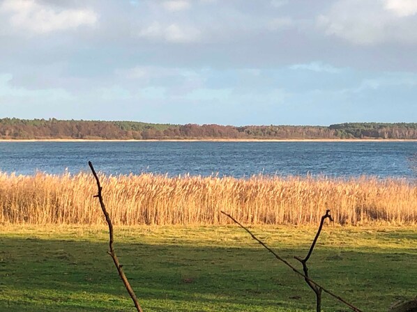 Unclassified image, 1 of 32, button