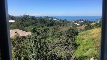 Apartemen Keluarga | Pemandangan dari kamar