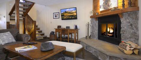 Télévision, cheminée, lecteur de DVD