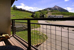 Property grounds - Crested Mtn. North J5 / Fantastic Townhome Only 70 Yards to Skiing! Hot Tub! (Crested Butte)