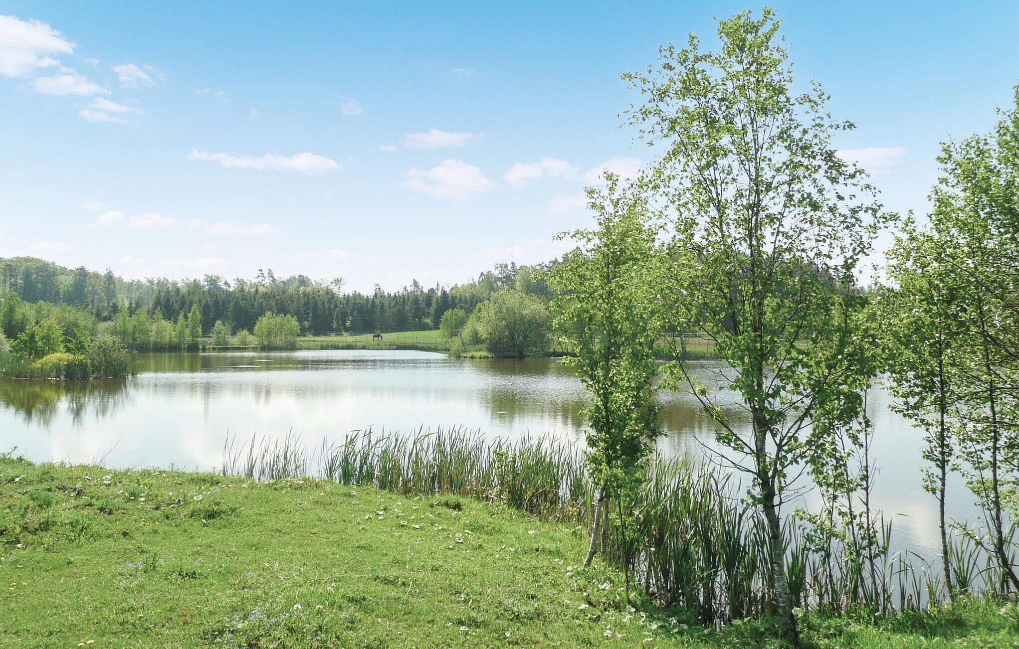 Un lago sereno rodeado de exuberante vegetación y árboles.