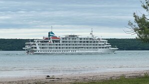 A large cruise ship with multiple decks and a flag, docked at a port with a grassy shoreline and trees in the background. - Freighters in front yard!  Private Sandy Beach - Large Deck - Best View on River (Sault Ste. Marie)