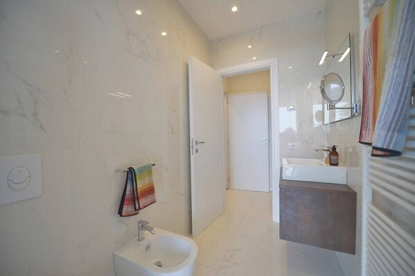 Shower, hair dryer, bidet