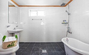 Family Room (N11) | Bathroom | Free toiletries, hair dryer, towels, soap