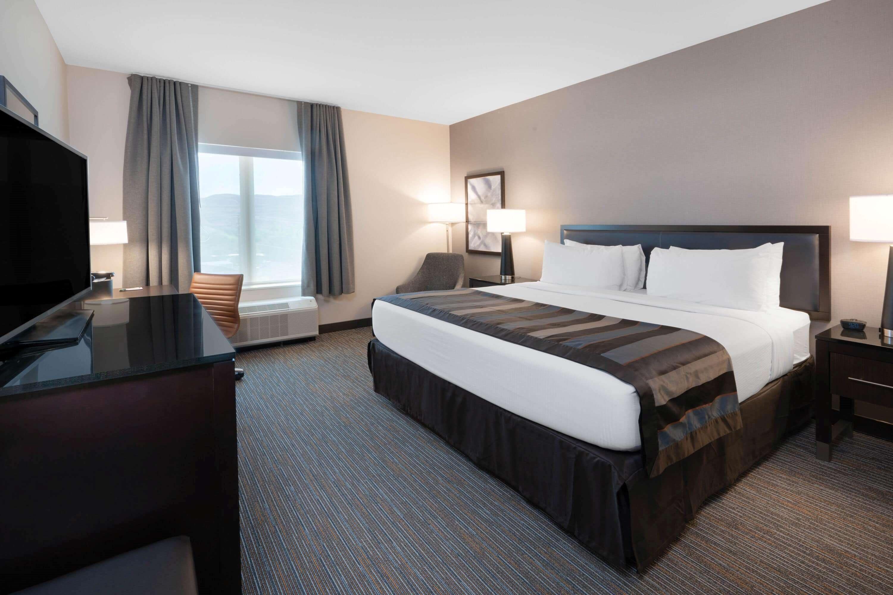 room, 1 king bed, mobility accessible, non smoking (roll-in shower) | 1 bedroom, desk, laptop workspace, iron/ironing board