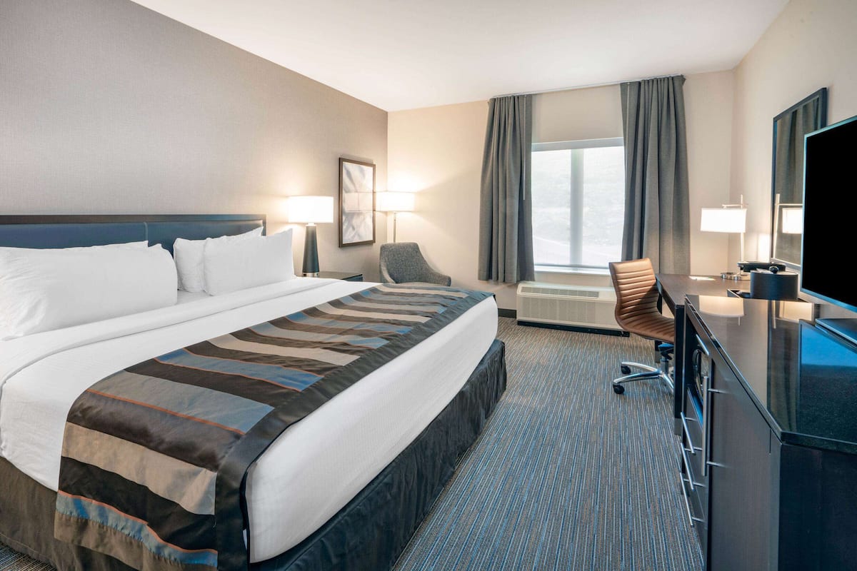 Room, 1 King Bed, Non Smoking | 1 bedroom, desk, laptop workspace, iron/ironing board