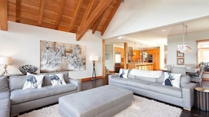 TV, fireplace, offices