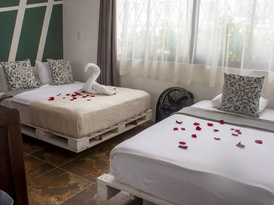 Monteverde | Ropa de cama de alta calidad, edredón y camas Select Comfort