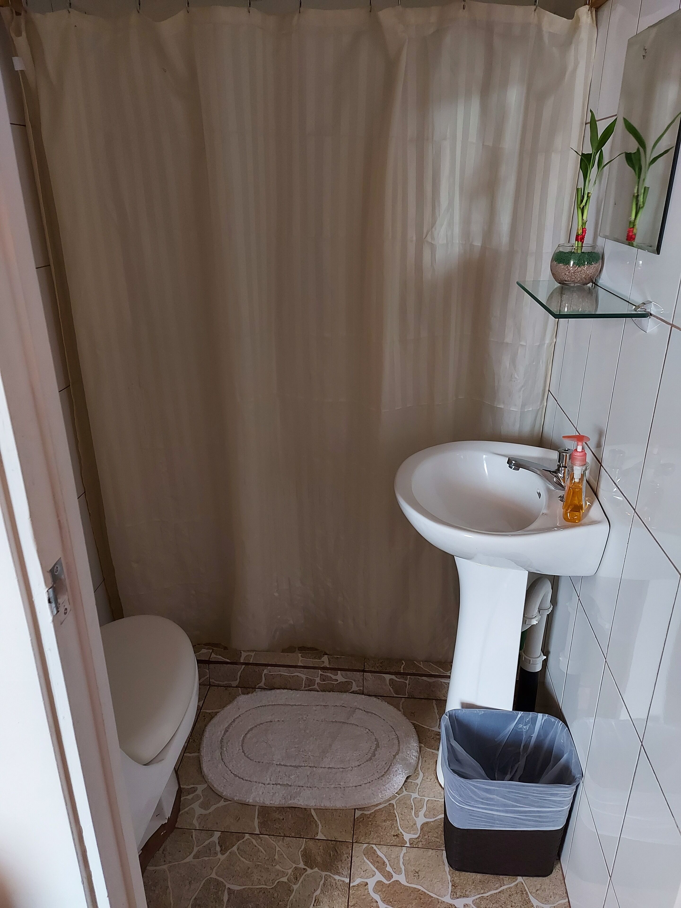 Et badeværelse med toilet, vask, en glashylde med en plante og en skraldespand.