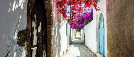 Área da propriedade