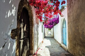 A narrow cobblestone alley with white walls, a wooden door, and vibrant pink and purple flowers hanging over the path. - Muazzo Creta Stone House, Nature Escape with Pool (Rethymno)