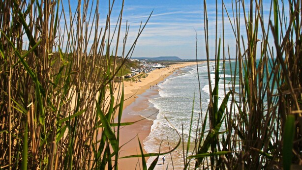 Ein Strand mit hohem Gras im Vordergrund, ein sandiger Uferstreifen und ein klarer Himmel.