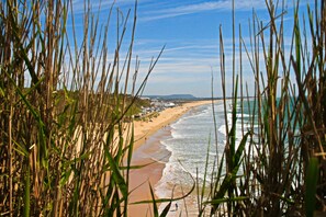 بالقرب من الشاطئ