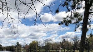 Un lac paisible aux eaux claires, sous un ciel dégagé, entouré d’arbres et bordé d’une zone herbeuse délimitée par une clôture.