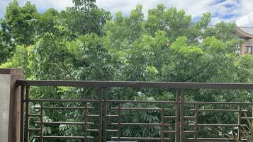 高级公寓式客房 | 阳台