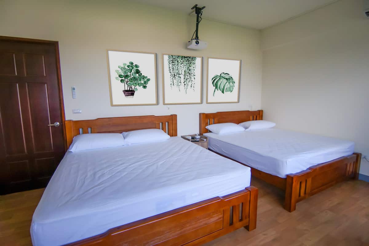 Une pièce avec deux lits en bois, une porte et trois illustrations de plantes encadrées accrochées au mur.