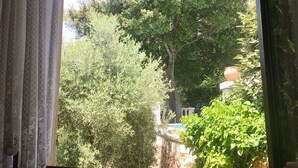 A window with a view of a garden and trees.