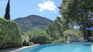 A clear blue pool surrounded by lush greenery and a mountain in the background.