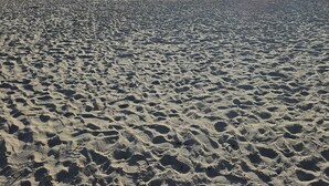A beach with footprints in the sand and a clear view of the water. - Private All Inclusive Vacation Home Near Yacht Club and Ft Myers Beaches (Cape Coral)