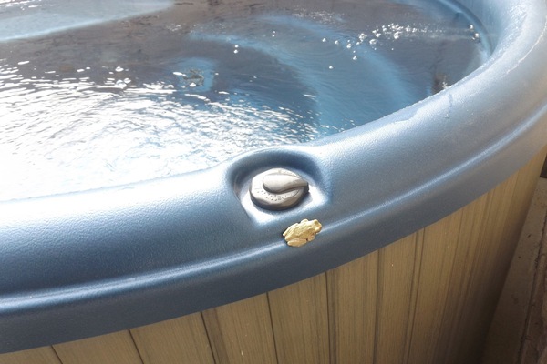 we are in the country. his name is Oscar.