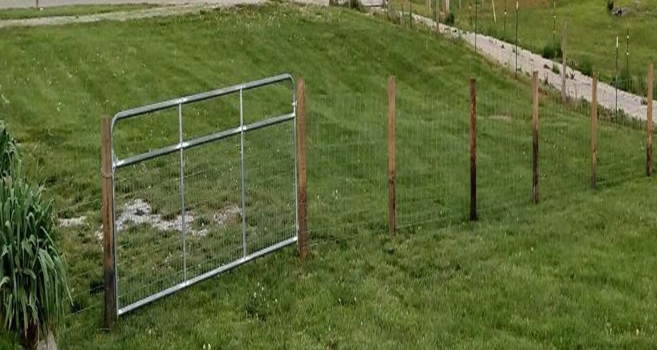 A grassy field with a metal gate and wooden posts.